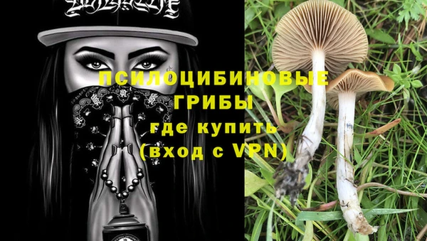 Альфа ПВП Остров