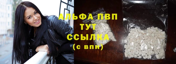 крисы Осинники