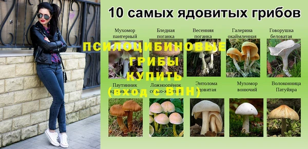 амф Богородицк