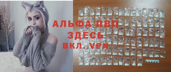 крисы Осинники