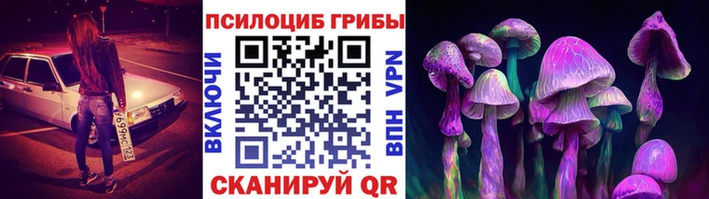 Галлюциногенные грибы мухоморы  закладки  даркнет телеграм  Подпорожье 